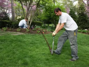 garden lighting installation