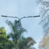 vega led street lights applications