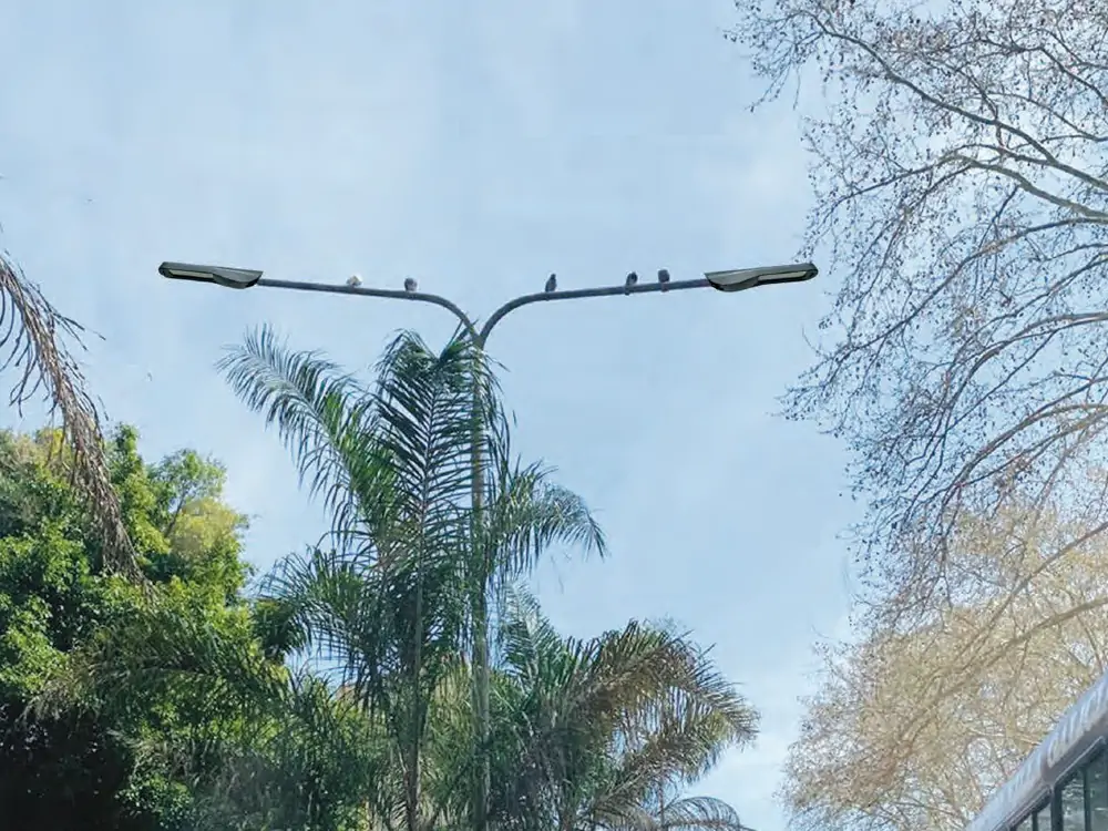 vega_led_street_lights_applications vega led street lights applications